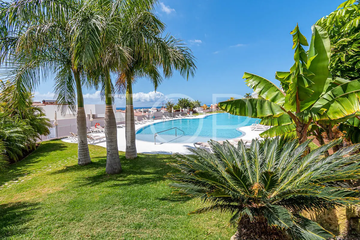 Apartament-La-Caleta-swimming-pool-Tenerife_(1)