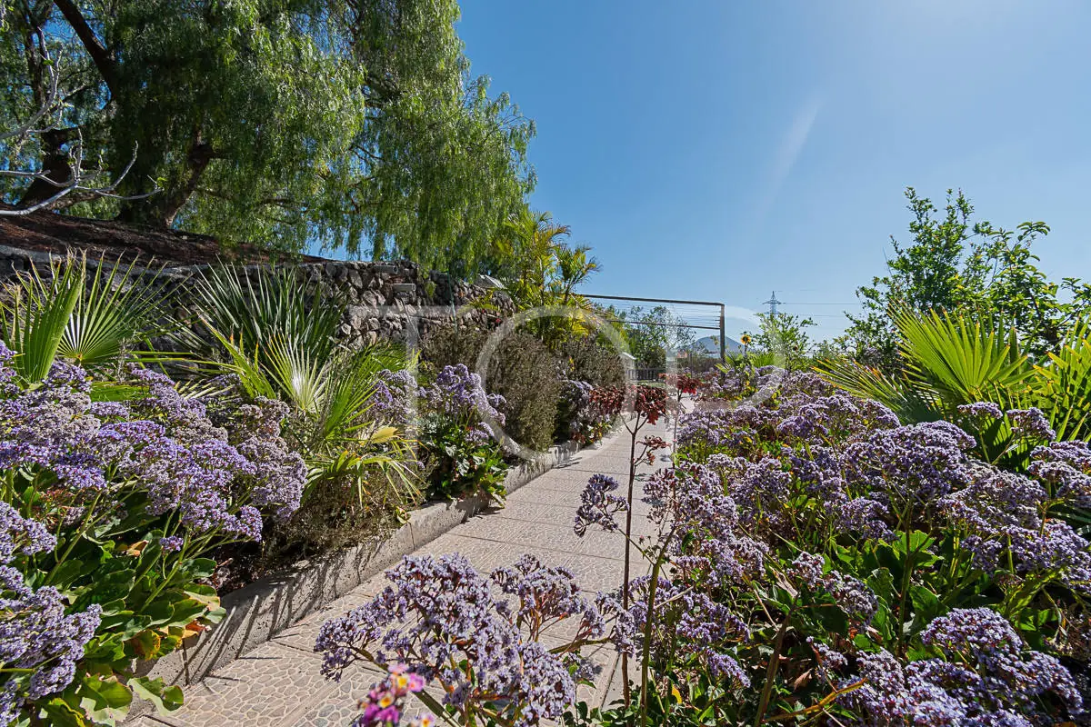 Finca-San-Miguel-Garden-Teneriffa-1