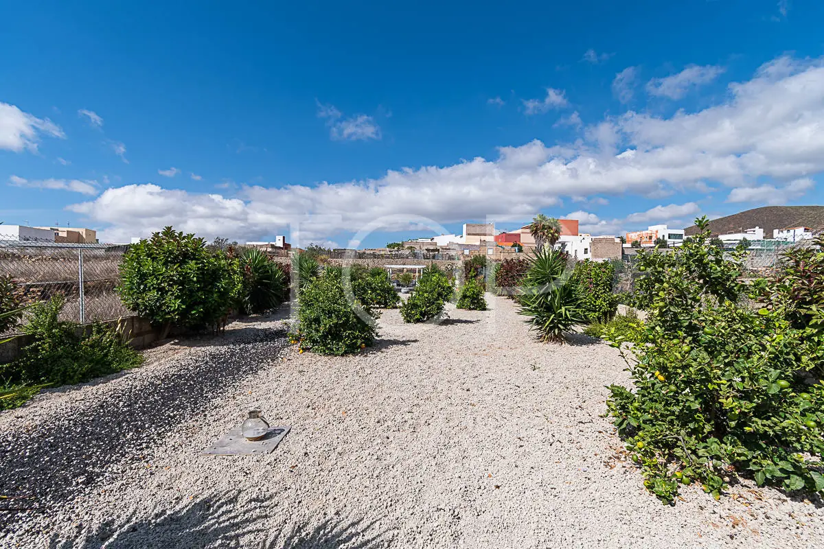 House-Granadilla-Garden -Tenerife-2