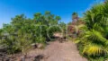 Finca-San-Miguel-Garden-Teneriffa-3