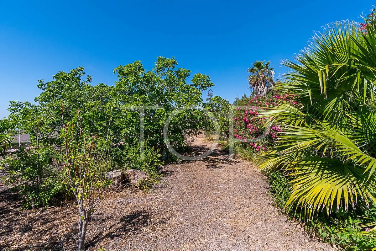 Finca-San-Miguel-Garden-Teneriffa-3