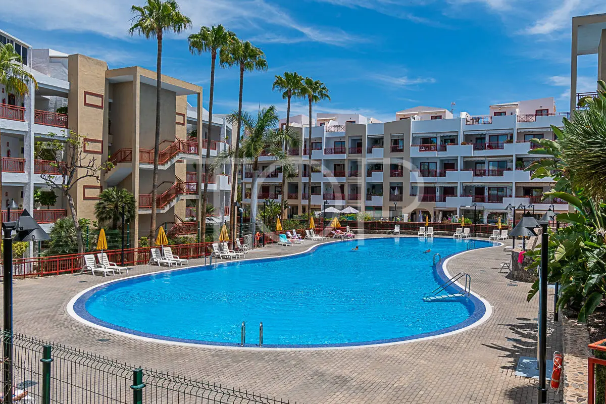 Apartment-El-Pam-Mar-Swimmingpool-Tenerife-4