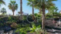 Baobab-Suites-Community-Gardens-Costa Adeje-Tenerife