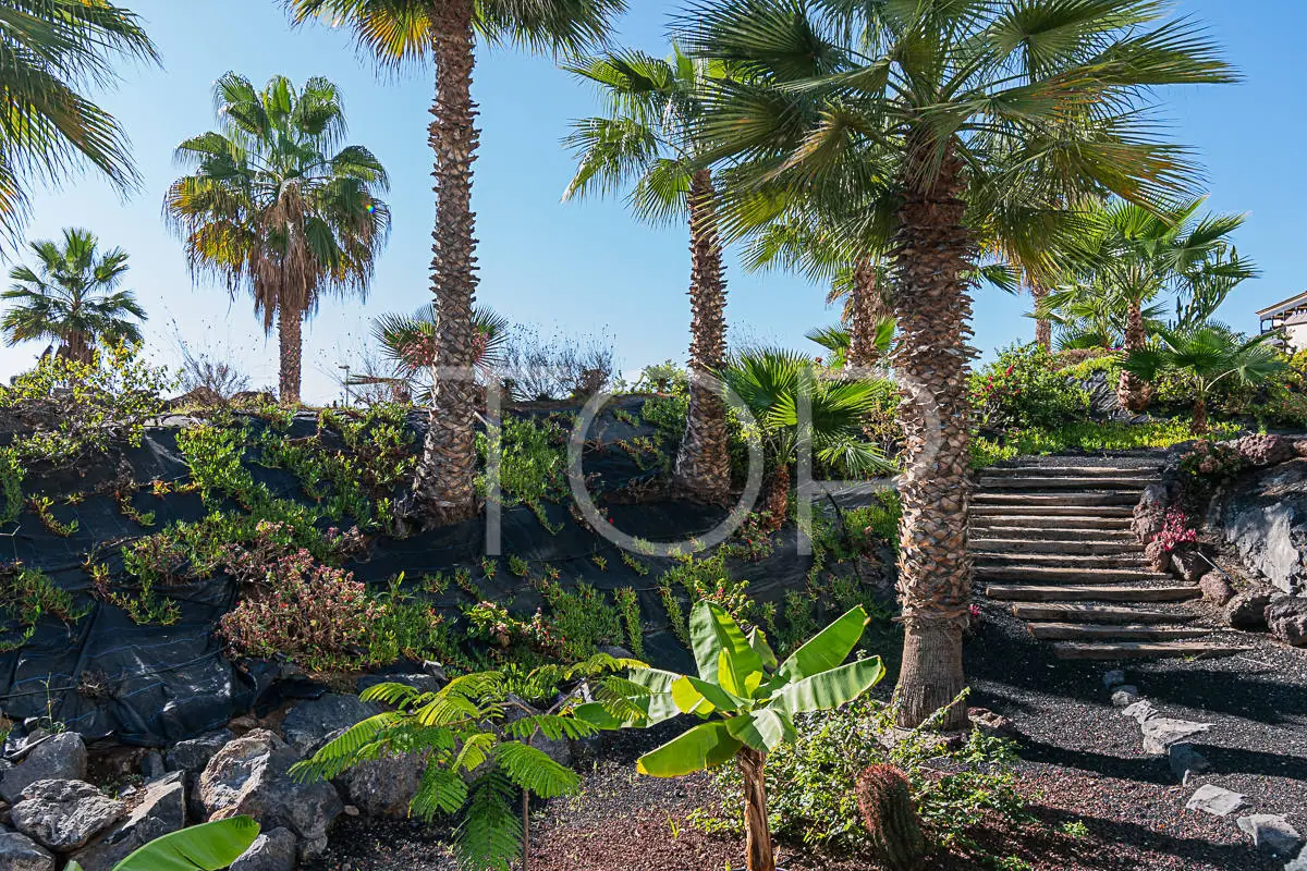 Baobab-Suites-Community-Gardens-Costa Adeje-Tenerife