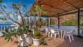 Penthouse-Los-Cristianos-xxx-Teneriffa-6288