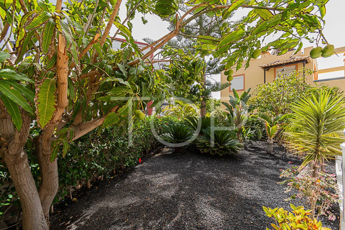 Villa-El-Duque-Garden-Tenerife