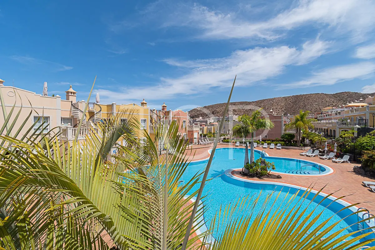 Apartment-Paraiso-del-Palm-Mar-Communitypool-Palm-Mar-Tenerife