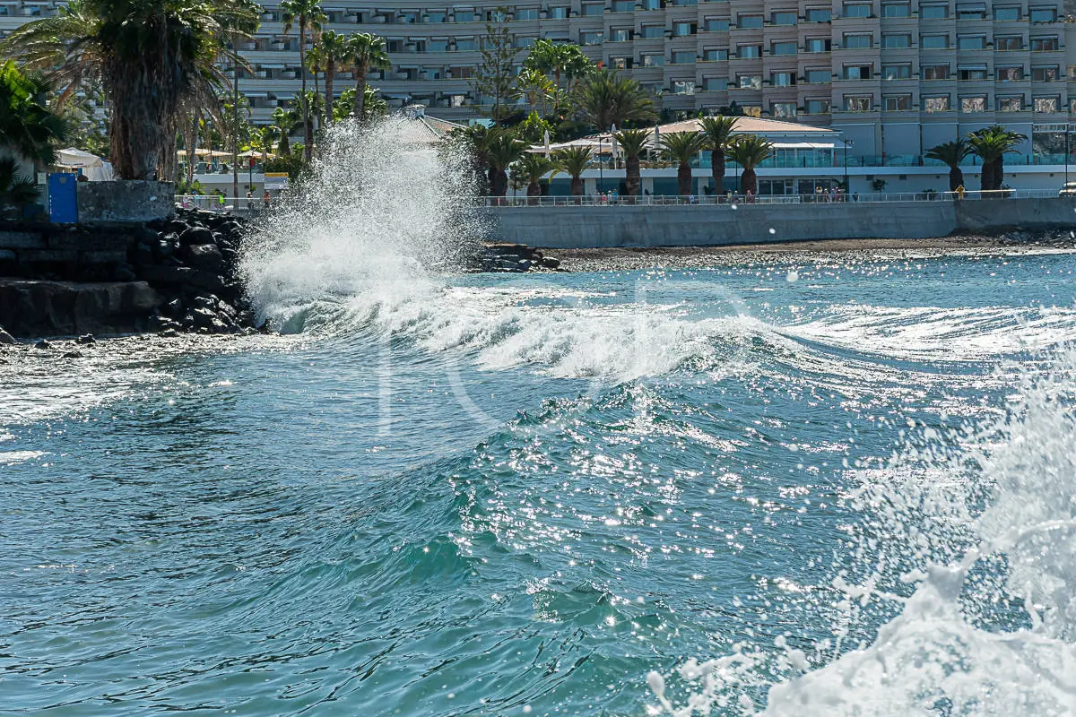 Atanaus-Los-Cristianos-Tenerife813