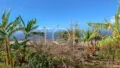 Finca-Ausblick-Guia-de-Isora-Teneriffa-5